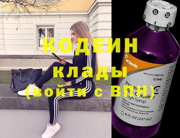 хмурый Алзамай