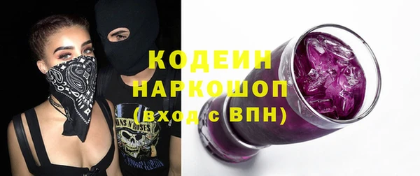 хмурый Алзамай