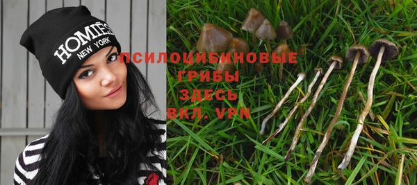 наркотики Алексин