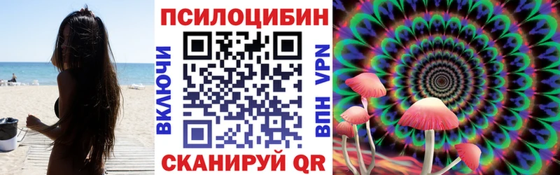 купить наркоту  Стародуб  Галлюциногенные грибы мухоморы 